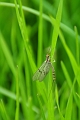 17 05 15_4239_edited-1